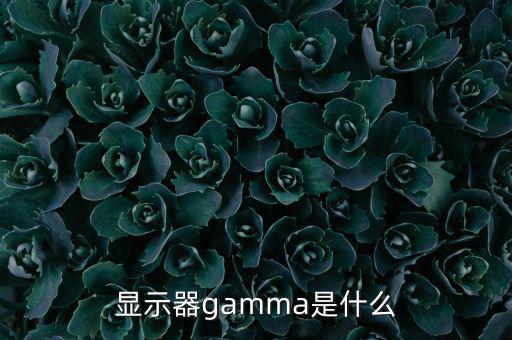 顯示器gamma是什么