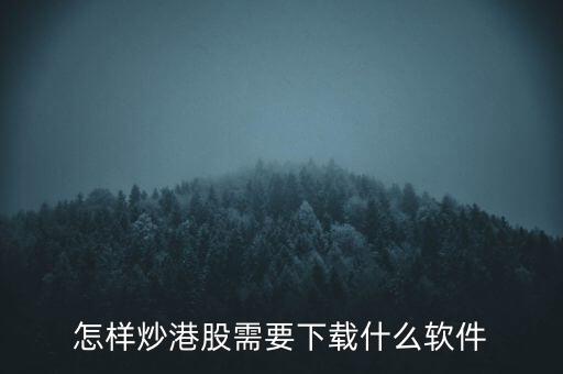 港股資金進(jìn)出用什么軟件，現(xiàn)在內(nèi)地的炒股滬港通用什么軟件