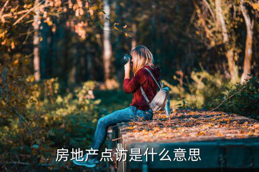 房地產(chǎn)點(diǎn)訪是什么意思