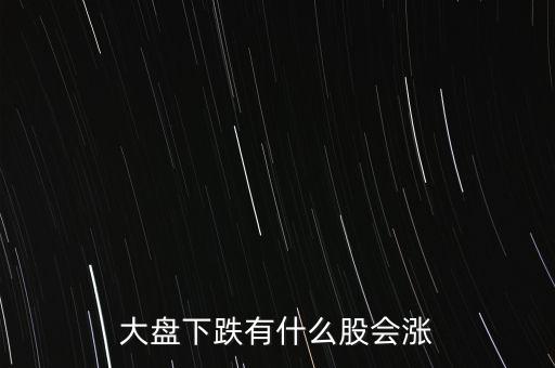 大盤(pán)下跌有什么股會(huì)漲