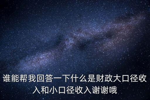 財務(wù)口徑是什么，誰能幫我回答一下什么是財政大口徑收入和小口徑收入謝謝哦