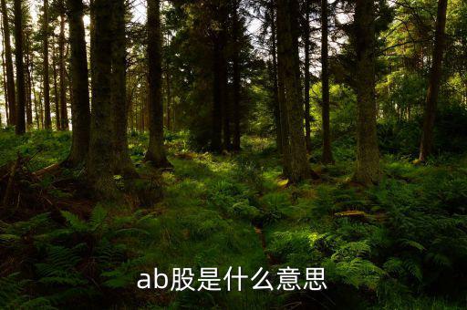 ab股什么意思，AB股是什么意思