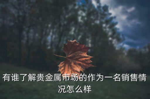 貴金屬公司為什么泛濫，有誰(shuí)了解貴金屬市場(chǎng)的作為一名銷(xiāo)售情況怎么樣