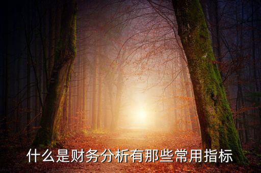 什么是財務(wù)分析有那些常用指標