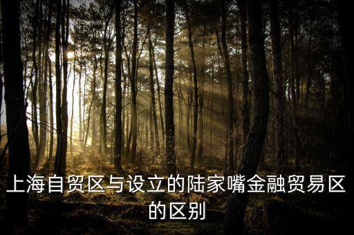 上海自貿(mào)區(qū)與設(shè)立的陸家嘴金融貿(mào)易區(qū)的區(qū)別