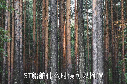 ST船舶什么時(shí)候可以摘帽