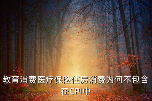 房?jī)r(jià)為什么不納入cpi，為什么在中國房?jī)r(jià)不算入CPI消費(fèi)水平也就是物價(jià)里面