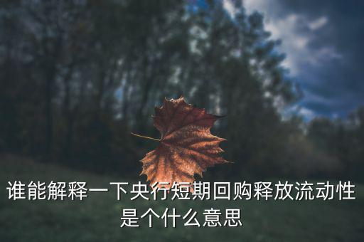 誰能解釋一下央行短期回購釋放流動(dòng)性是個(gè)什么意思