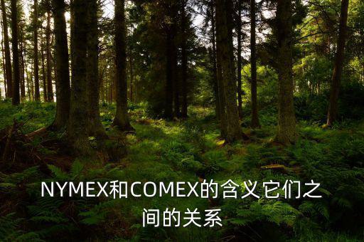 NYMEX和COMEX的含義它們之間的關(guān)系