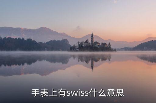 歐行手表什么意思，手表上有swiss什么意思