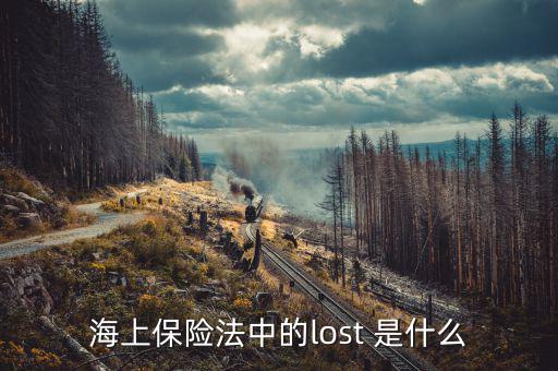 什么是海上保險(xiǎn)中的投棄，海上保險(xiǎn)法中的lost 是什么