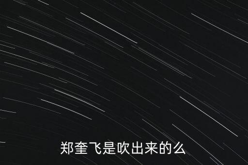 鄭奎飛是吹出來的么