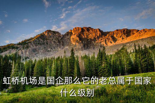 機場董事長什么級別，虹橋機場是國企那么它的老總屬于國家什么級別