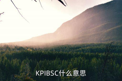 KPIBSC什么意思