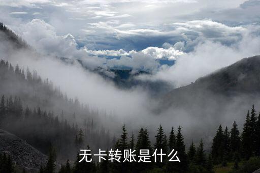 什么是無(wú)卡轉(zhuǎn)賬，什么叫無(wú)卡轉(zhuǎn)賬