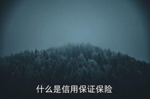 什么是信用保證保險