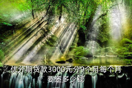 優(yōu)分期貸款3000元分9個(gè)月每個(gè)月要還多少錢