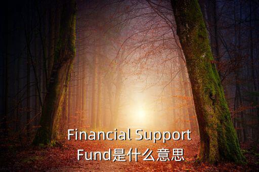 金融支持是什么意思，F(xiàn)inancial Support Fund是什么意思