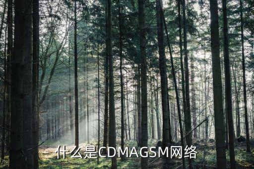 電信cdma是什么網(wǎng)絡，cdma是什么網(wǎng)絡