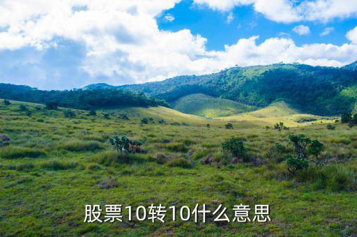 股票10送10轉(zhuǎn)10是什么意思，股市什么是10送10