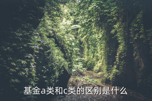 債券型基金a類和c類是什么，基金a類和c類的區(qū)別是什么