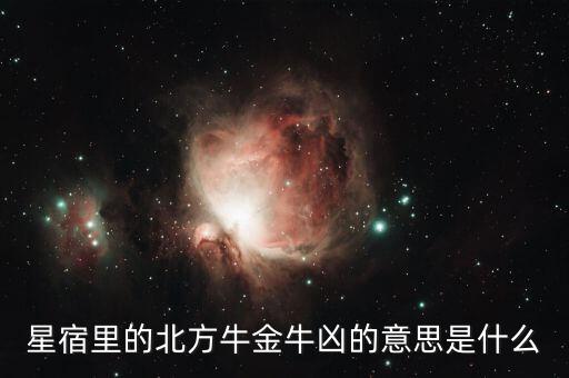 星宿里的北方牛金牛兇的意思是什么