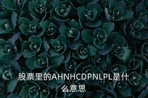 股票nl是什么意思，股票里的AHNHCDPNLPL是什么意思