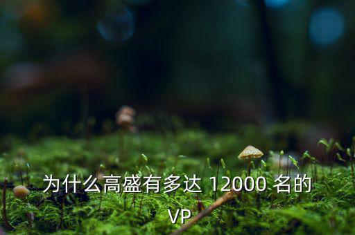 為什么高盛有多達(dá) 12000 名的 VP