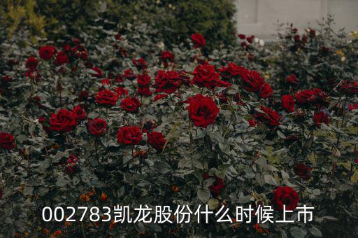 002783什么時候開始，龍生股份什么時候開盤