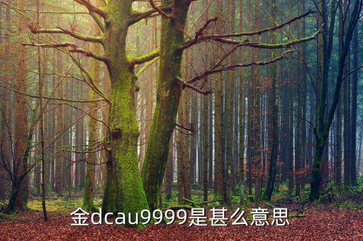 金dcau9999是甚么意思