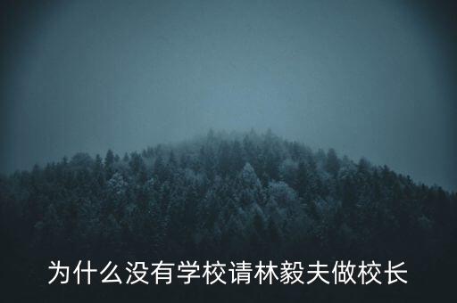 林毅夫做了什么，為什么沒有學校請林毅夫做校長