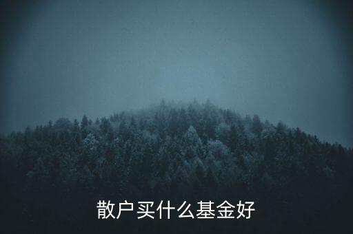 散戶(hù)買(mǎi)什么基金好