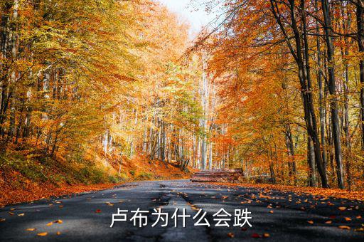 盧布為什么會(huì)跌