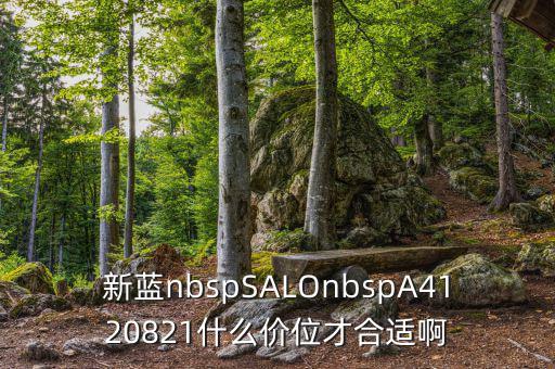 久遠(yuǎn)銀海什么價(jià)位才賣，新藍(lán)nbspSALOnbspA4120821什么價(jià)位才合適啊