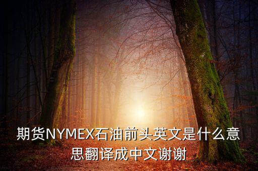 期貨NYMEX石油前頭英文是什么意思翻譯成中文謝謝