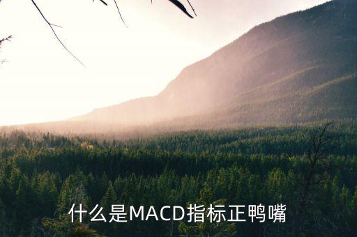 macd老鴨頭表示什么，什么是MACD指標正鴨嘴