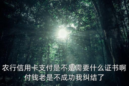 農(nóng)行信用卡支付是不是需要什么證書啊付錢老是不成功我糾結(jié)了