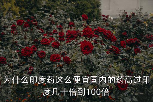 為什么印度藥這么便宜國內(nèi)的藥高過印度幾十倍到100倍