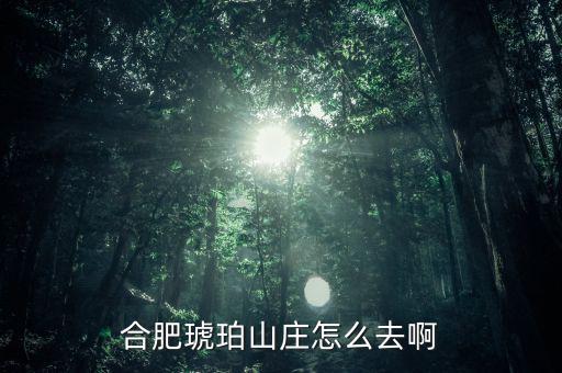 合肥琥珀山莊怎么去啊