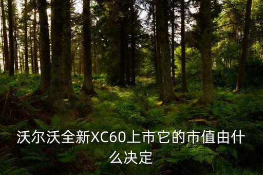 沃爾沃全新XC60上市它的市值由什么決定