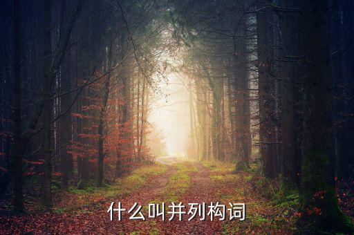 什么叫并列構(gòu)詞