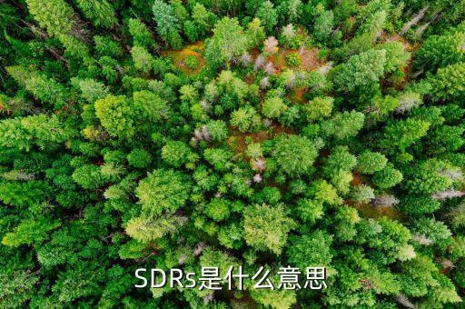 SDRs是什么意思