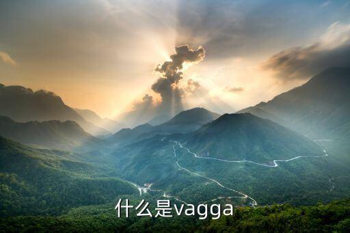 什么是vagga