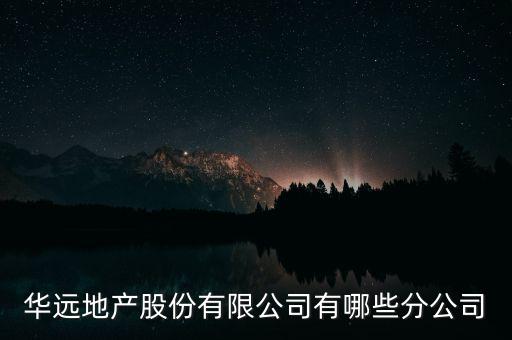 華遠(yuǎn)地產(chǎn)股份有限公司有哪些分公司