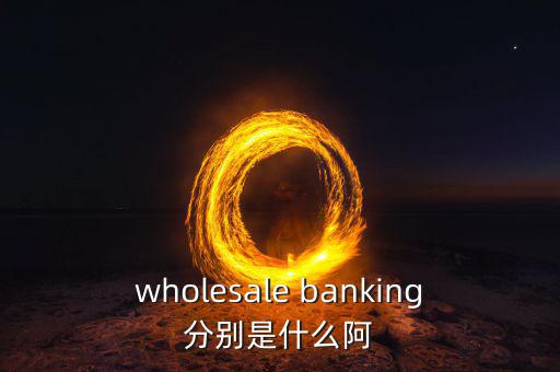 什么是綜合金融服務(wù)，wholesale banking分別是什么阿