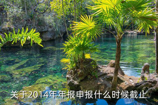 西南證券2014年報(bào)什么時(shí)候，關(guān)于2014年年報(bào)申報(bào)什么時(shí)候截止