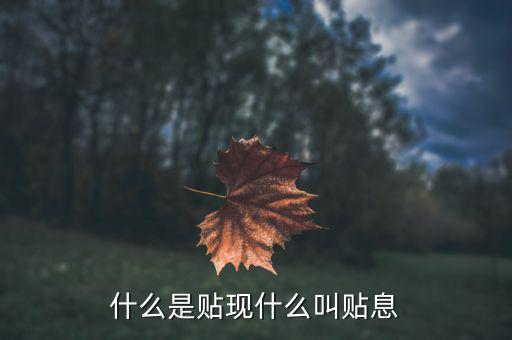 貼現(xiàn)息是什么意思，貼現(xiàn)息指什么