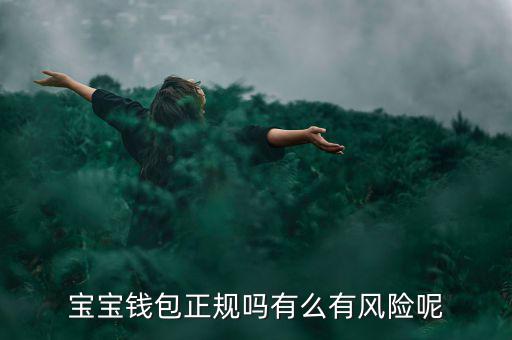 寶寶專屬錢包是什么意思，寶寶錢包和微信是什么關(guān)系啊