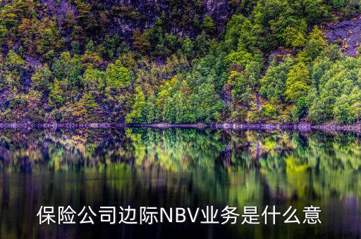 保險公司邊際NBV業(yè)務(wù)是什么意