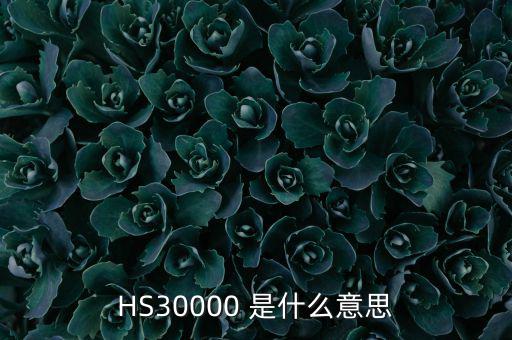 HS30000 是什么意思